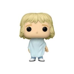 Funko POP! Dumb and Dumber Harry Dunne 1042 hairyc