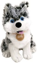 Paws plusz pies Husky Snowstar 25cm